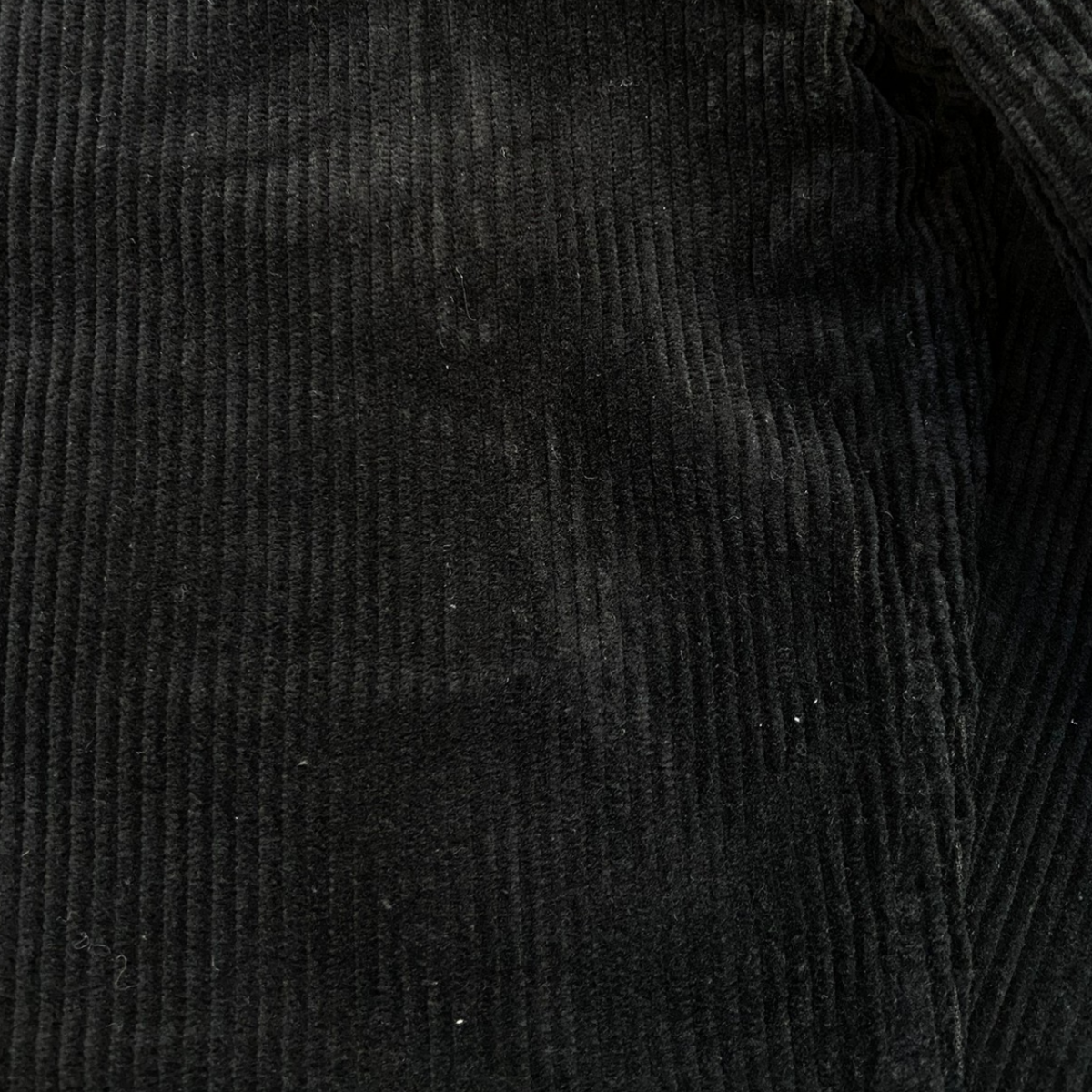 CARHARTT WIP NEWEL PANT 